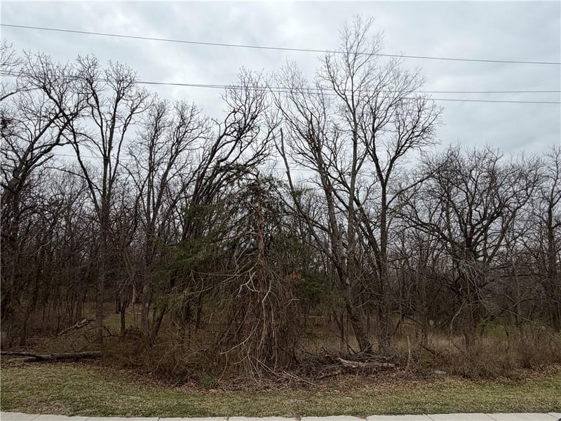 0000 Brown Ave, Osawatomie, KS 66064