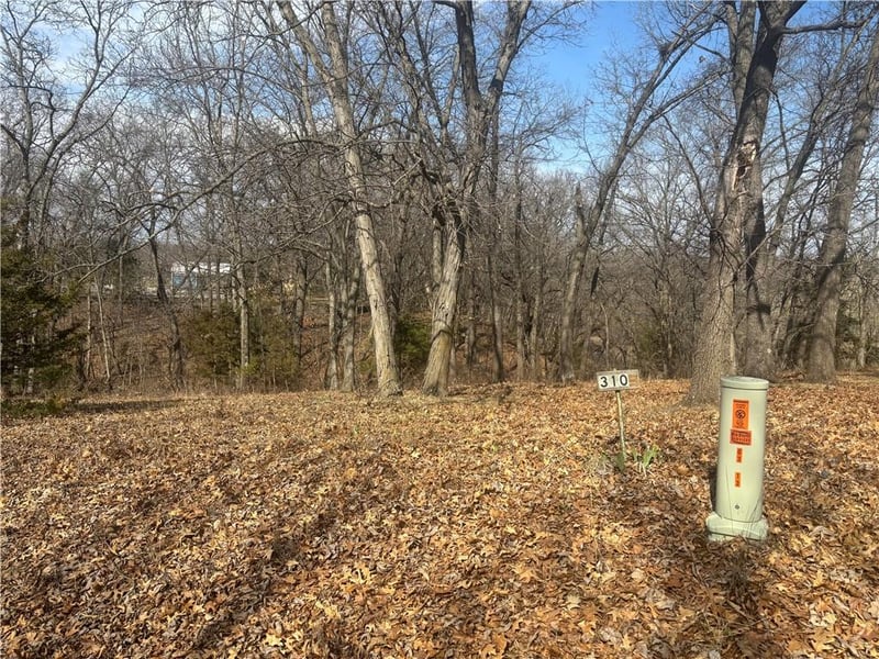 Lot 3109 Lake Viking Ter, Altamont, MO 64620