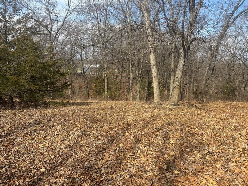 Lot 3109 Lake Viking Ter, Altamont, MO 64620