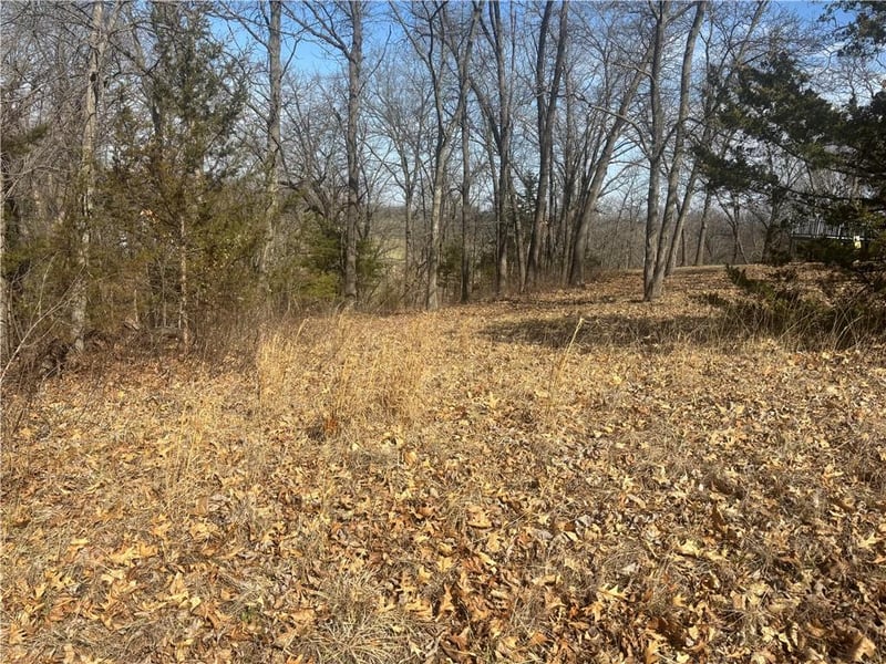 Lot 3109 Lake Viking Ter, Altamont, MO 64620