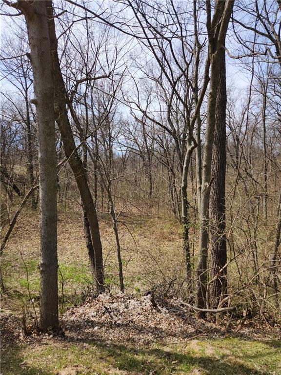 8823 Cleveland Ave, Kansas City, KS 66109