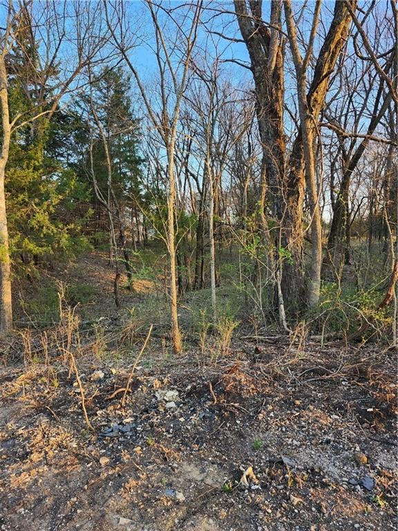 62 Linn Valley Dr, Linn Valley, KS 66040