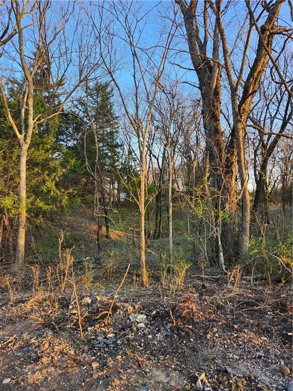 62 Linn Valley Dr, Linn Valley, KS 66040