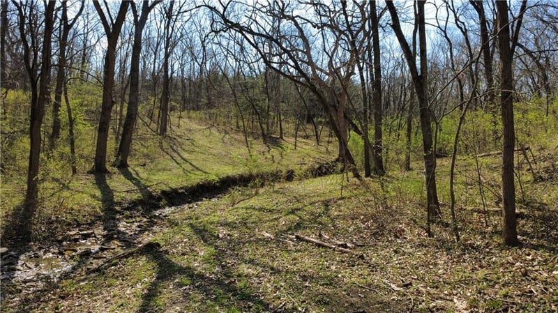 1611 Sunrise Dr, Smithville, MO 64089