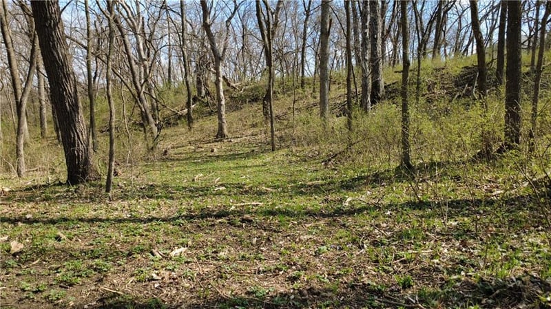 1611 Sunrise Dr, Smithville, MO 64089