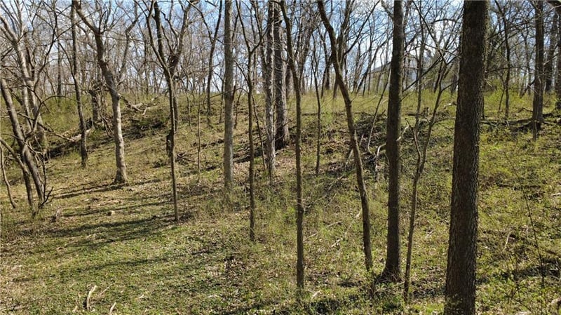 1611 Sunrise Dr, Smithville, MO 64089