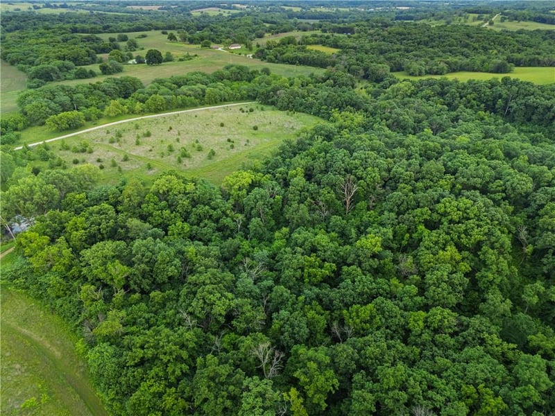 TBD Rattlesnake Rd, Cowgill, MO 64637