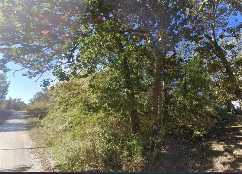 Plat A Lot 12 Lakeshore Dr, Odessa, MO 64076
