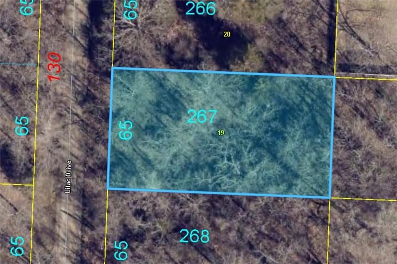 Plat B Lot 267 Lilac Dr, Odessa, MO 64076