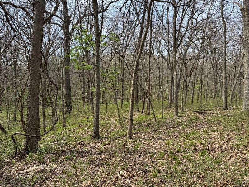 tbd 900* Rd, Warrensburg, MO 64093