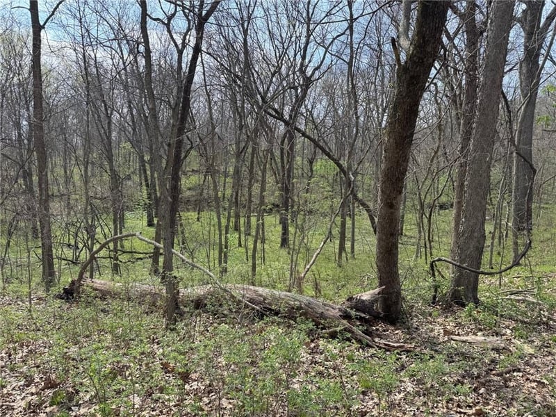 tbd 900* Rd, Warrensburg, MO 64093