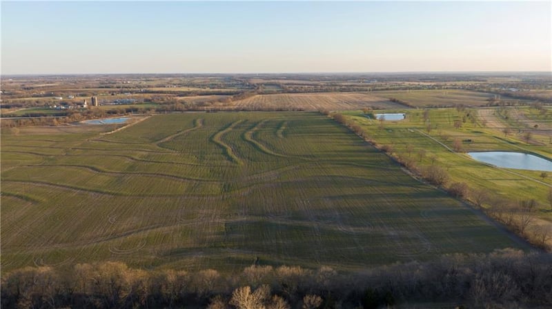 21212 Ore Rd, Pleasant Hill, MO 64080