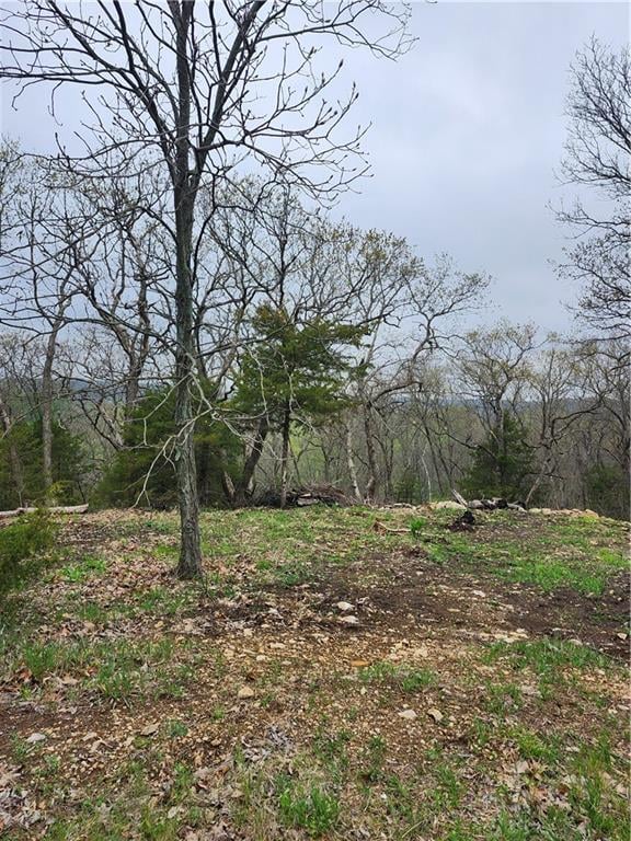 41 Ridgewood Cir, Linn Valley, KS 66040