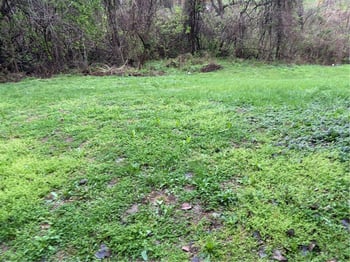 3200 Freeman Ave, Kansas City, KS 66102