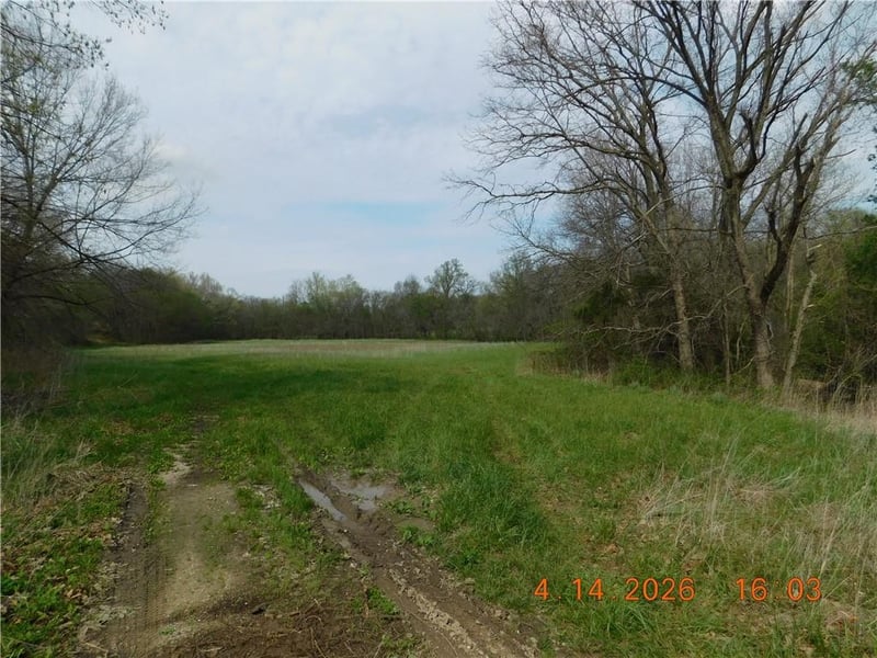 493 1000 Rd, Chilhowee, MO 64733