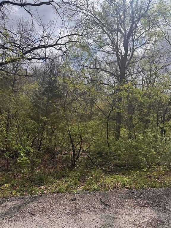 Lot 73 - 76 Green Forest Way, Oak Grove, MO 64075