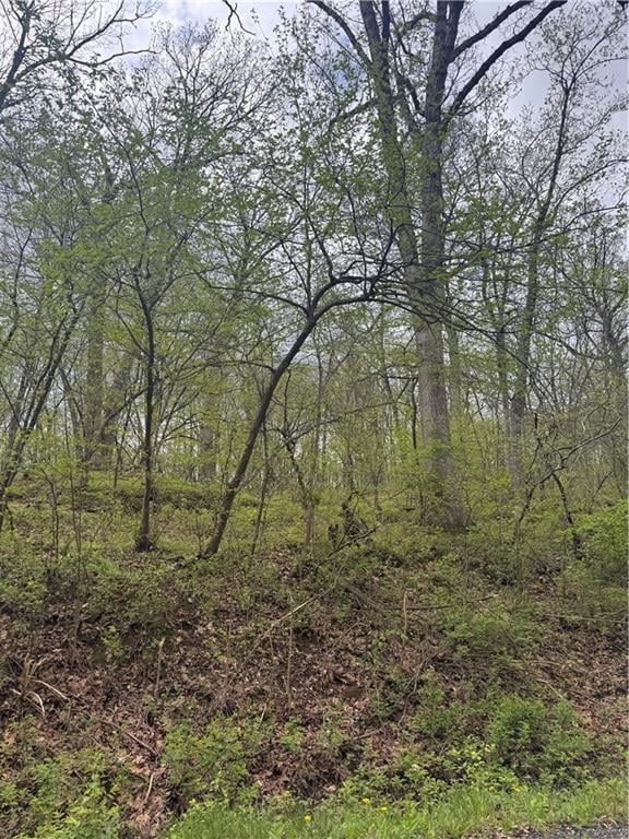 Lot 47-48 Park Ln, Oak Grove, MO 64075