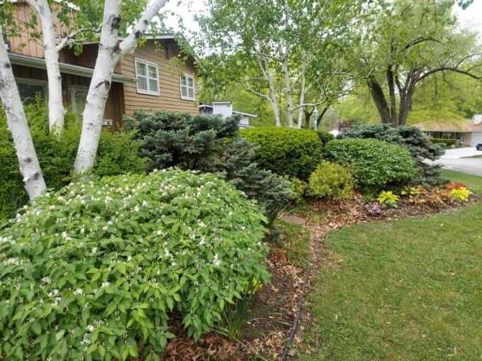 2101 62nd St, Kansas City, MO 64118