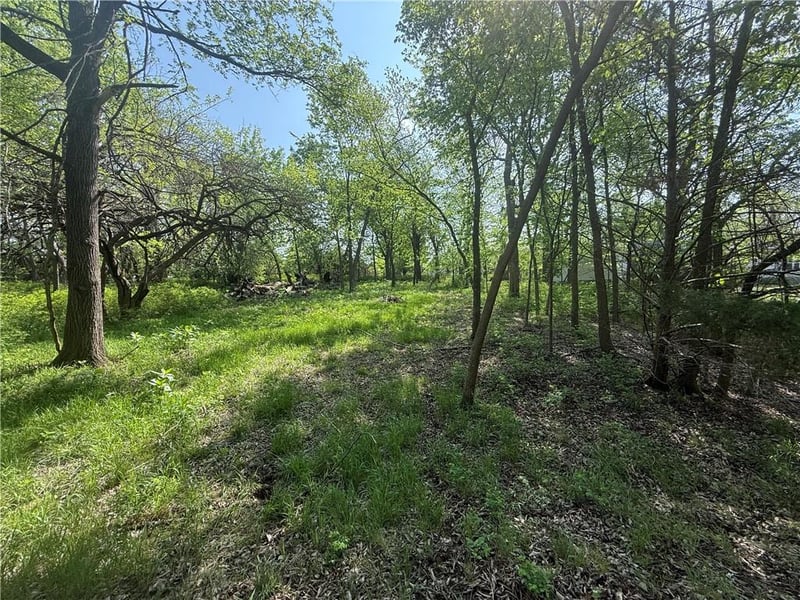 14 Black Oak Dr, Linn Valley, KS 66040