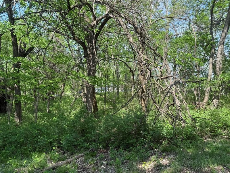 17 Black Oak Dr, Linn Valley, KS 66040