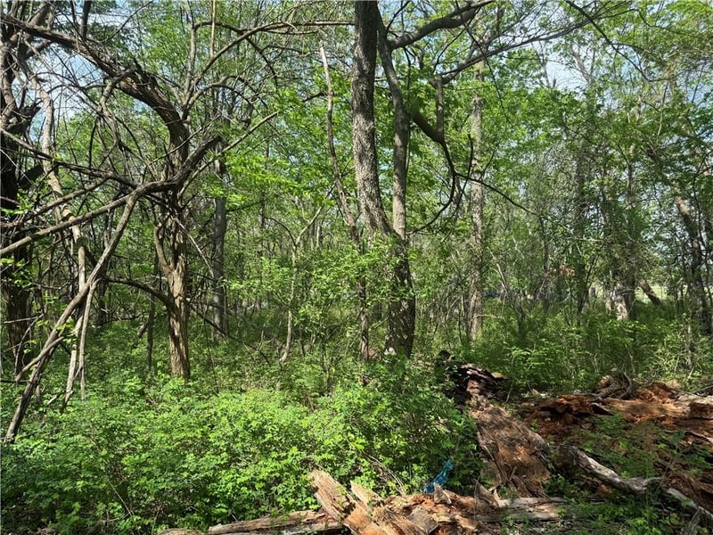 17 Black Oak Dr, Linn Valley, KS 66040