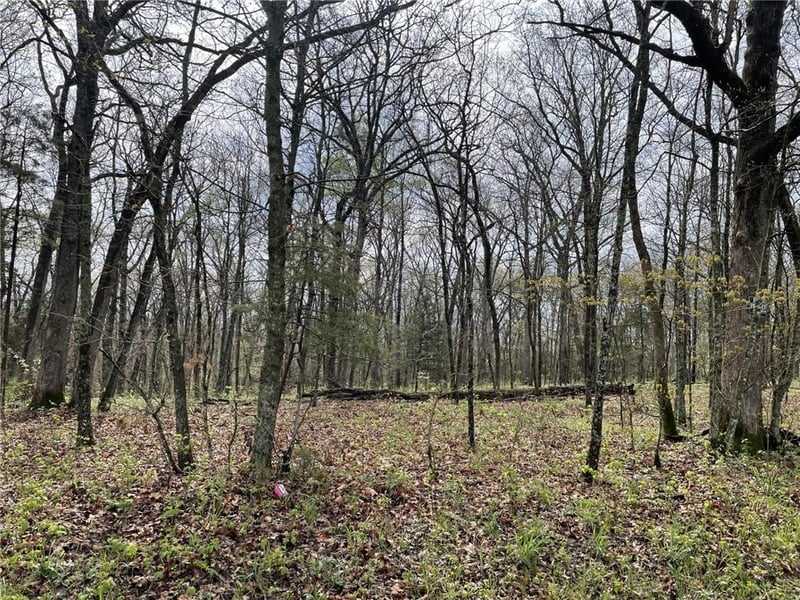 Kullman Rd, Lincoln, MO 65338