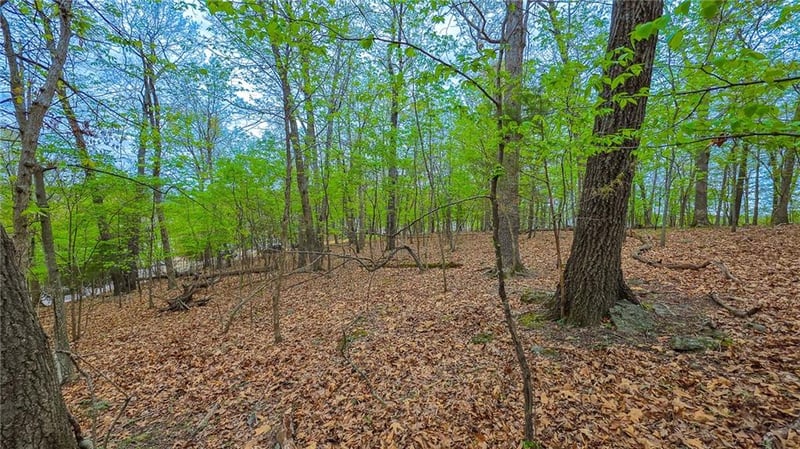Grand View Dr, Sunrise Beach, MO 65079