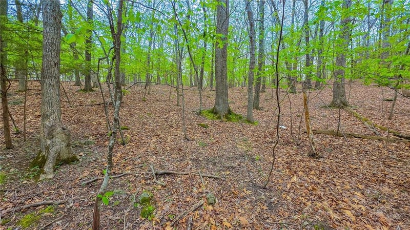 Grand View Dr, Sunrise Beach, MO 65079