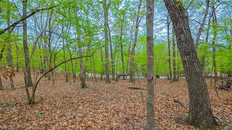 Grand View Dr, Sunrise Beach, MO 65079