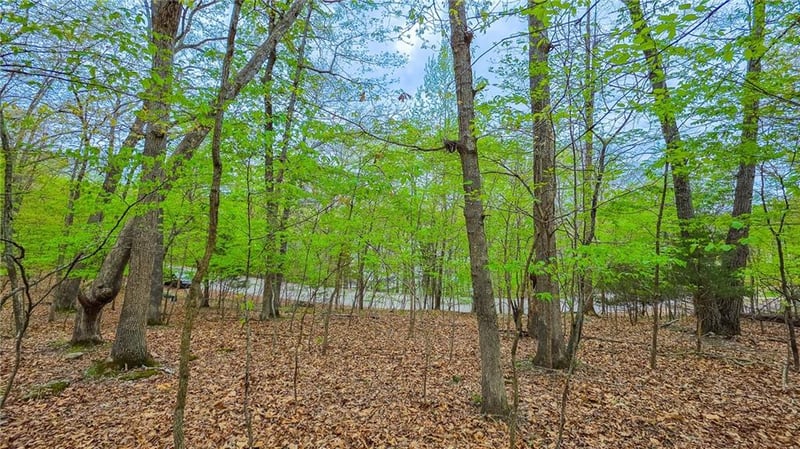 Grand View Dr, Sunrise Beach, MO 65079