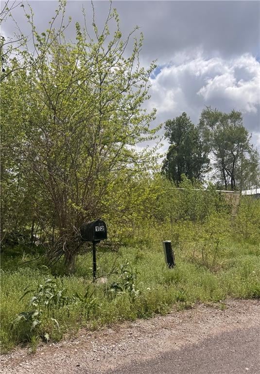 201 Bickel Ave, Levasy, MO 64066