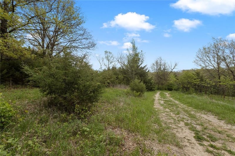 Lot 51 Crystal Dr, Excelsior Springs, MO 64024