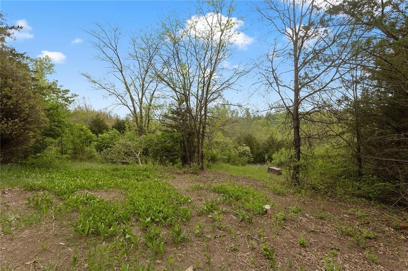 Lot 51 Crystal Dr, Excelsior Springs, MO 64024