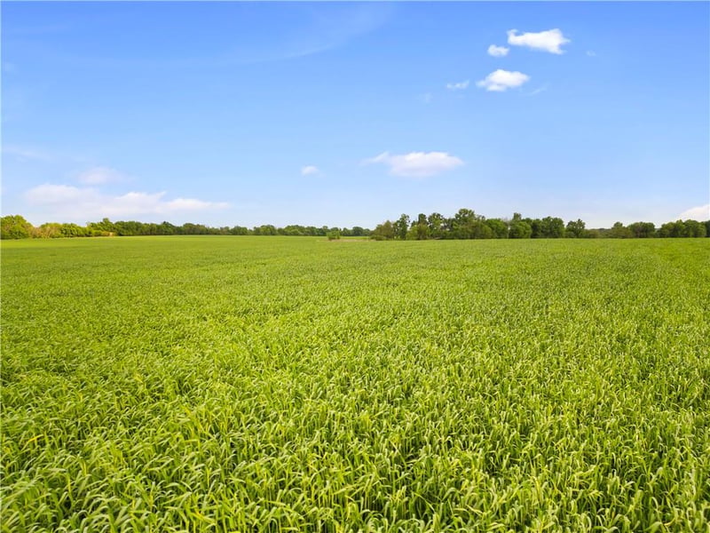 49 100th Rd, Sheldon, MO 64784