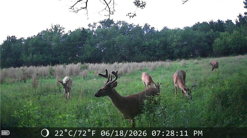 624 Ohio Rd, Richmond, KS 66080