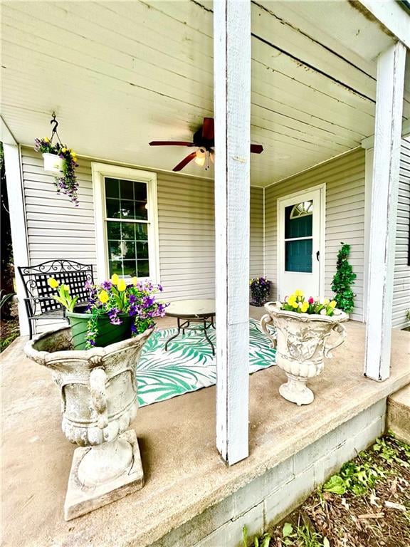 314 Vernon St, Nevada, MO 64772