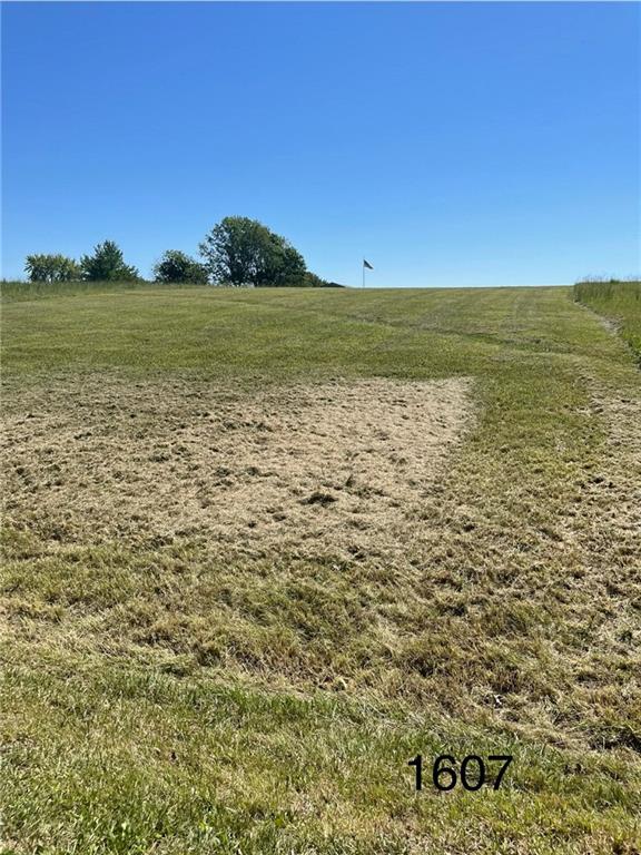 Lot 1607 Lake Viking Ter, Altamont, MO 64620