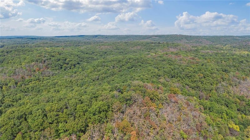 Proctor Ln, Gravois Mills, MO 65037