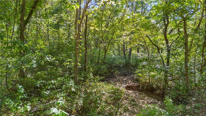 Proctor Ln, Gravois Mills, MO 65037