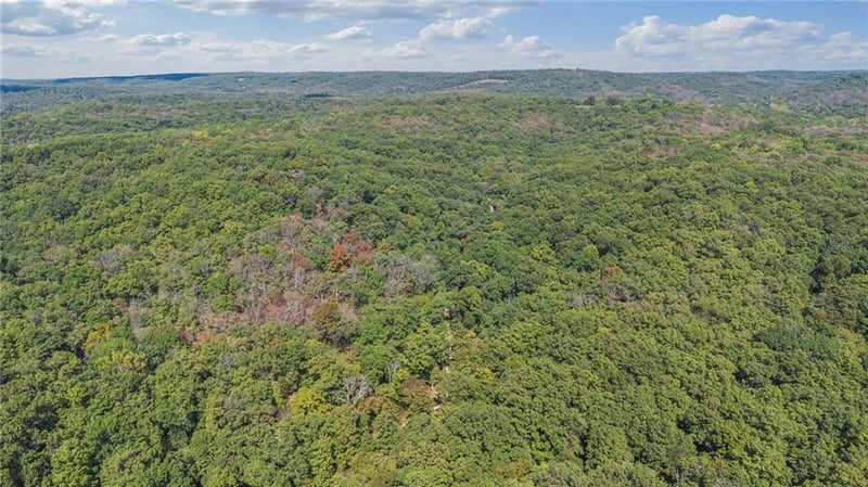Proctor Ln, Gravois Mills, MO 65037