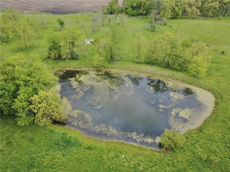 Highway D N/A, Princeton, MO 64673