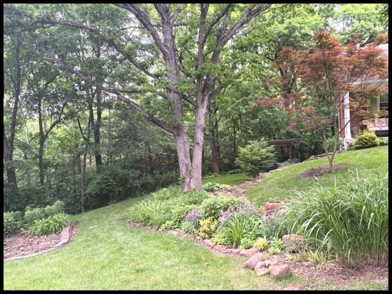 812 Laurel Dr, Warrensburg, MO 64093