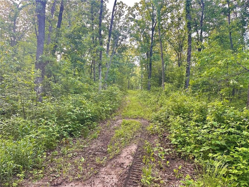 2100 Rd, Jerico Springs, MO 64756