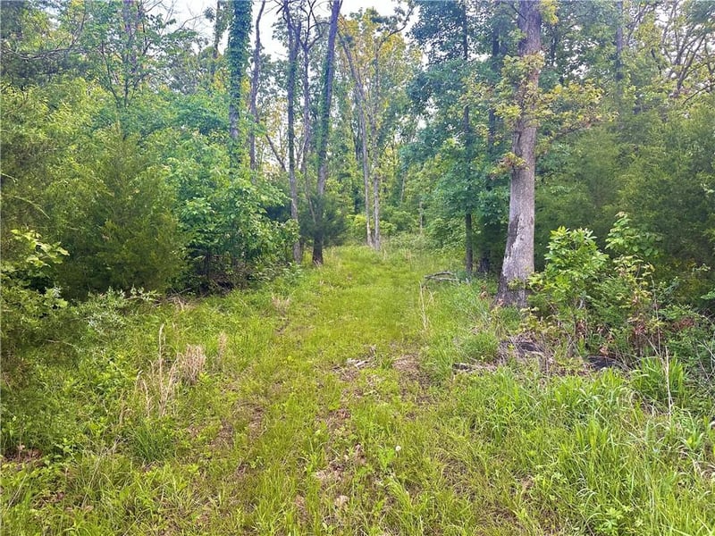 2100 Rd, Jerico Springs, MO 64756