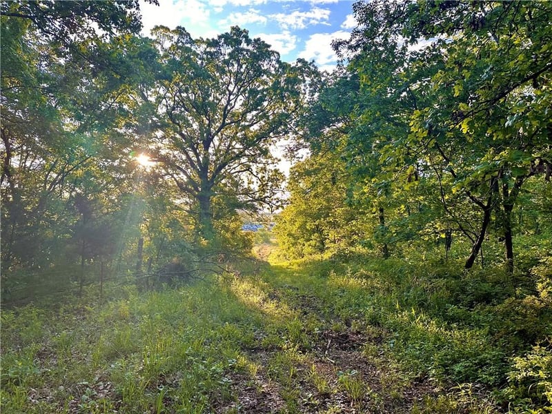2100 Rd, Jerico Springs, MO 64756