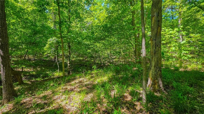 Spring Creek Dr, Sunrise Beach, MO 65079
