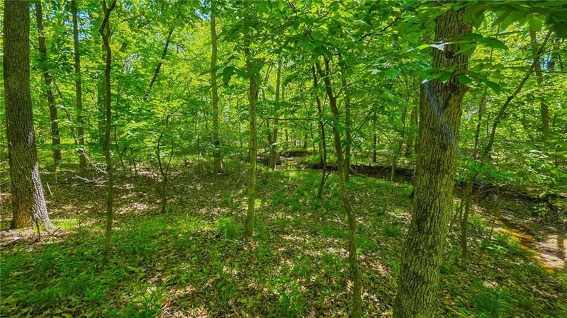Spring Creek Dr, Sunrise Beach, MO 65079