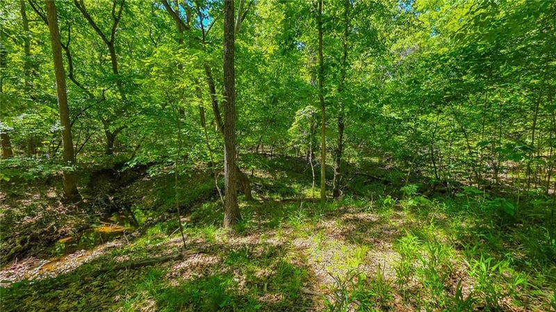 Spring Creek Dr, Sunrise Beach, MO 65079