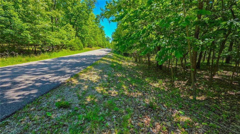Spring Creek Dr, Sunrise Beach, MO 65079
