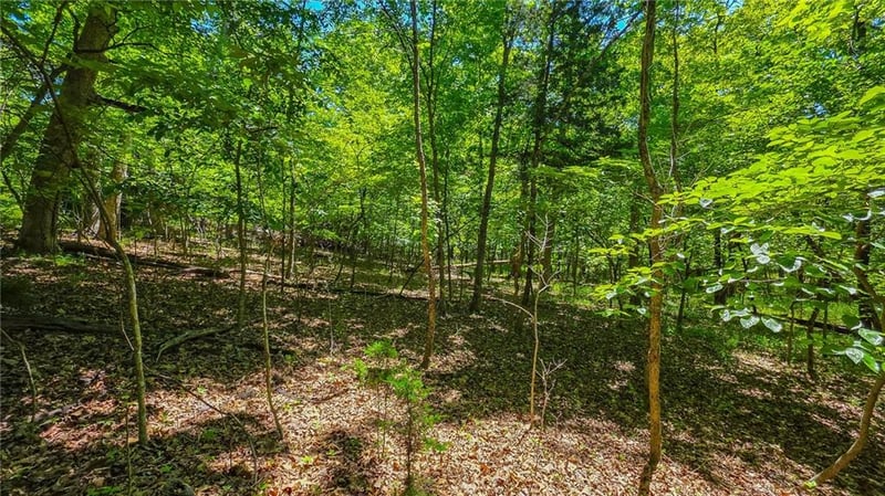 Spring Creek Dr, Sunrise Beach, MO 65070